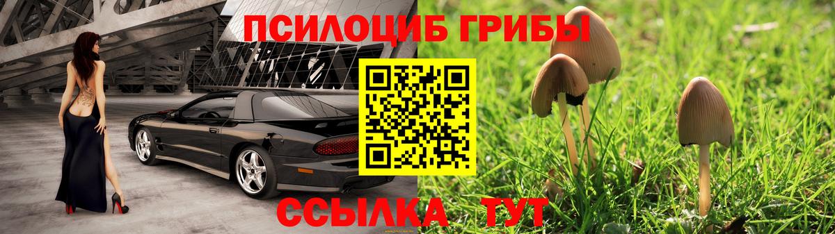 Галлюциногенные грибы MAGIC MUSHROOMS  Вход с VPN  Сосновый Бор  Галлюциногенные грибы GOLDEN TEACHER 